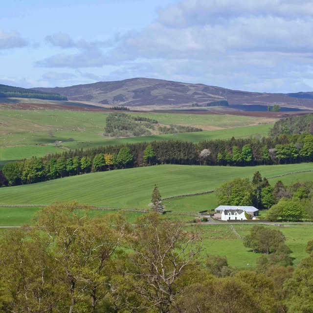 Green Perthshire countryside outside Blairgowrie